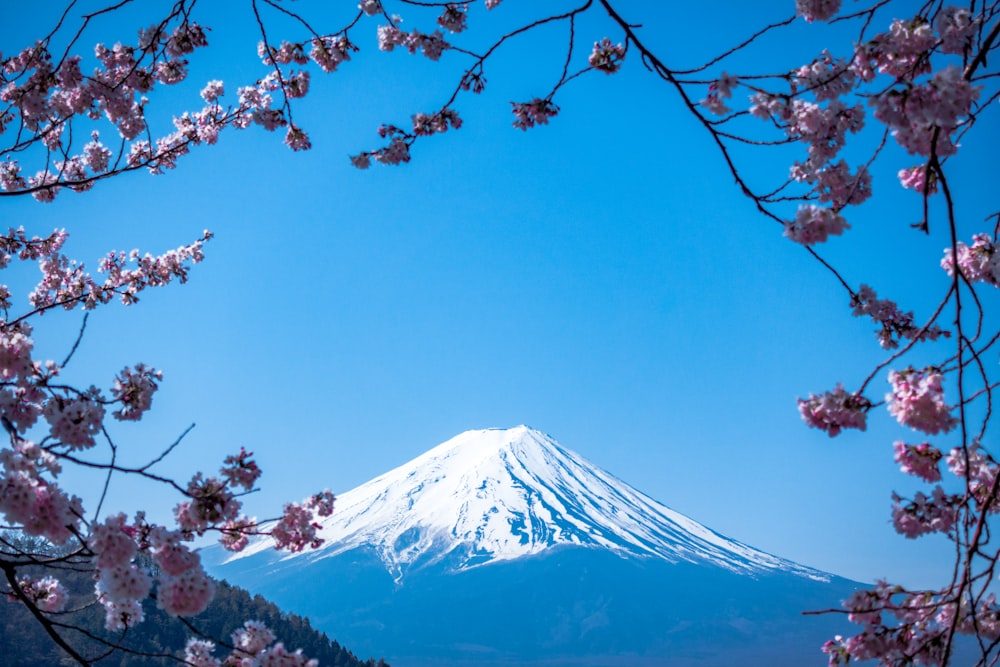 桂林旅游